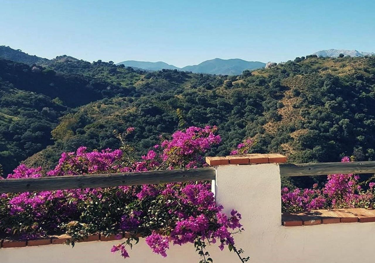 Corazon Andaluz Guesthouse Коін Екстер'єр фото